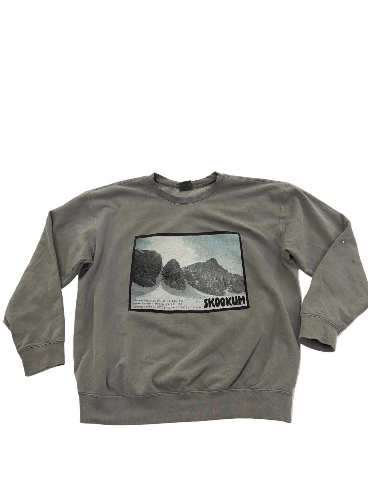 4 Color Halftone on Grey Sweatshirt